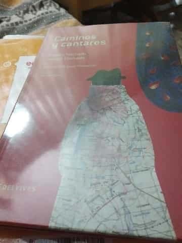 Caminos y cantares
