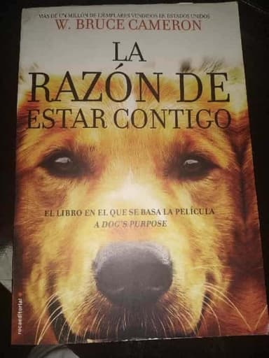 La razón de estar contigo