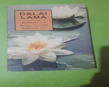 Dalai Lama 