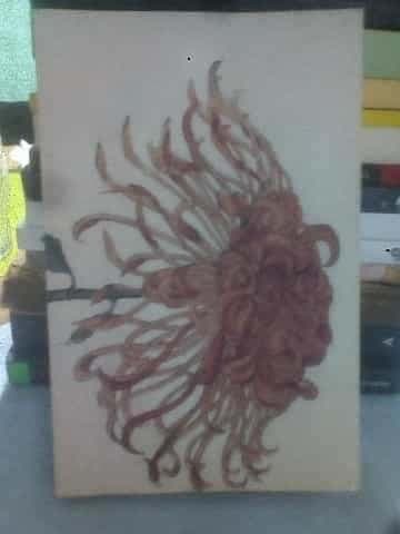 Kokoro