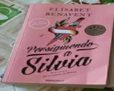Persiguiendo   a  Silvia