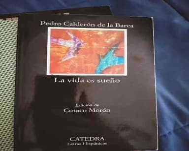 La vida es sueño