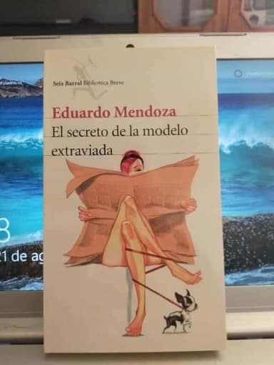 El secreto de la modelo extraviada