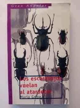 Los escarabajos vuelan al atardecer