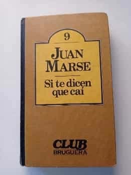 Si te dicen que caí