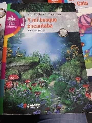 Y mi bosque encantaba