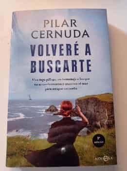 Volveré a buscarte