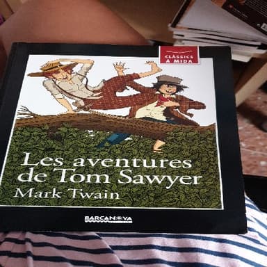 les aventures de tom sawyer