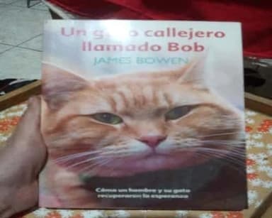 Un gato llamado Bob.