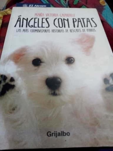 Ángeles con patas.
