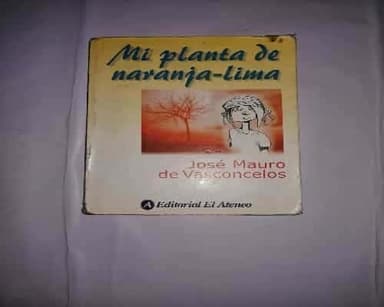 Mi planta de naranja lima