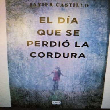 El día que se perdió la cordura 