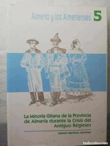 ALMERIA Y LOS ALMERIENSES , NUMERO 5, LA MINORIA GITANA DE LA PROVINCIA DE ALMERIA DURANTE LA CRISIS