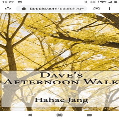 Daves Afternoon Walk