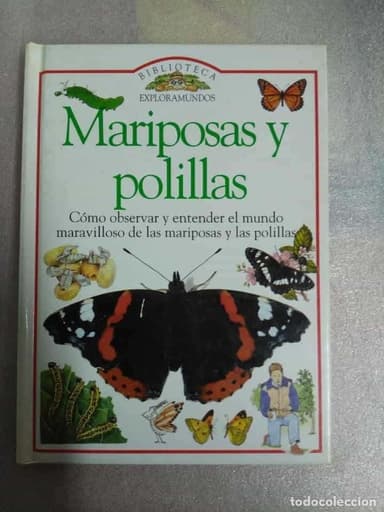 MARIPOSAS Y POLILLAS, DE JOHN FELTWELL. TAPAS DURAS