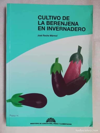 CULTIVO DE LA BERENJENA EN INVERNADERO