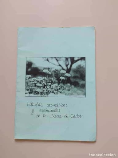 PLANTAS AROMÁTICAS Y MEDICINALES DE LA SIERRA DE GÁDOR