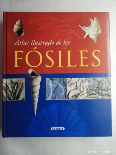 ATLAS ILUSTRADO DE LOS FÓSILES. ED. SUSAETA
