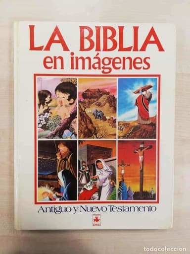 LA BIBLIA EN IMAGENES, ANTIGUO Y NUEVO TESTAMENTO, RIALP JUNIOR