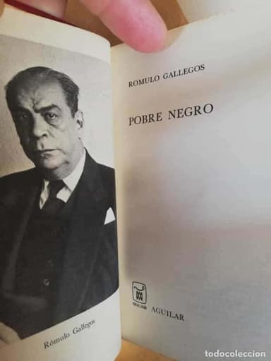 ROMULO GALLEGOS POBRE NEGRO AGUILAR