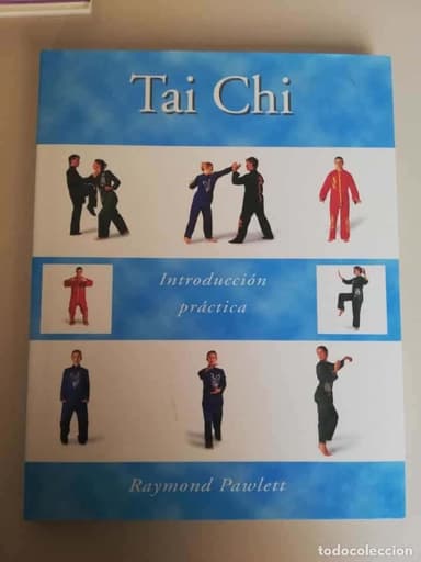 TAI CHI. INTRODUCCIÓN PRÁCTICA - RAYMOND PAWLETT GRAN FORMATO
