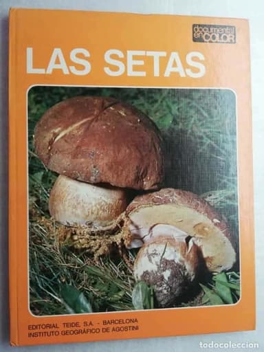 LAS SETAS. DOCUMENTAL EN COLOR. EDITORIAL TEIDE.