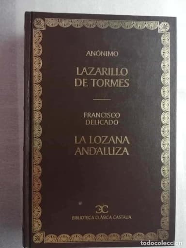 LAZARILLO TORMES ANONIMO / LA LOZANA ANADLUZA POR FRANCISCO DELGADO BIBLIOTECA CASTALIA