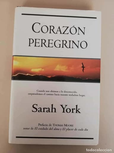 CORAZÓN PEREGRINO - SARAH YORK