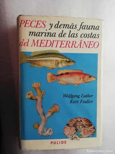 PECES Y DEMAS FAUNA MARINA DE LAS COSTAS DEL MEDITERRANEO (WOLFGANG LUTHER Y KURT FIEDLER)