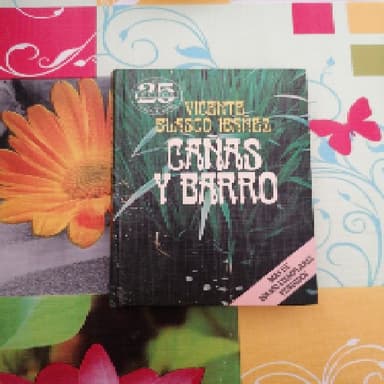 Cañas y Barro