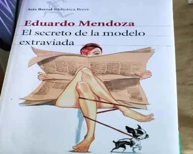 El secreto de la modelo extraviada