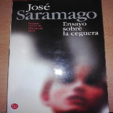 Ensayo sobre la ceguera