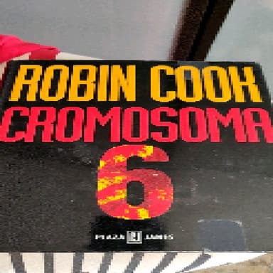 Cromosoma 6
