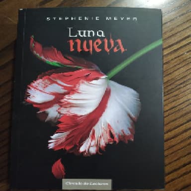 Luna Nueva