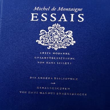 Michel de mountaign Essais
