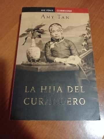 La Hija Del Curandero  the Bonesetters Daughter