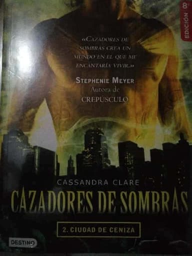 Ciudad de ceniza