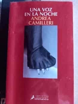 Una voz en la noche