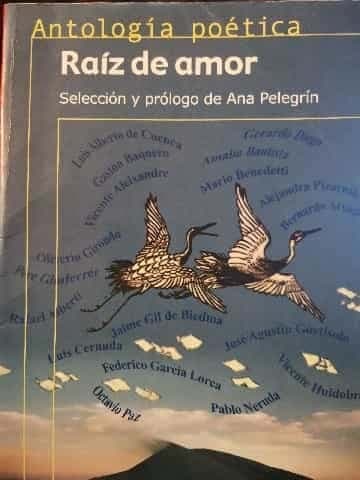 Raíz de amor