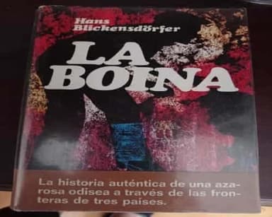 La boina