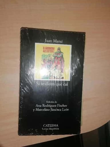 Si te dicen que caí