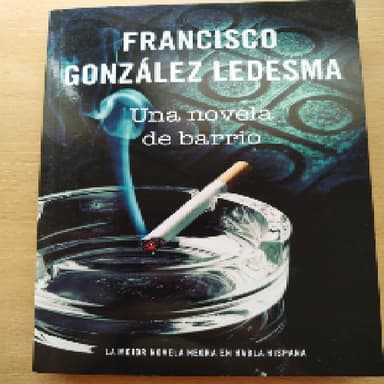 UNA NOVELA DE BARRIO