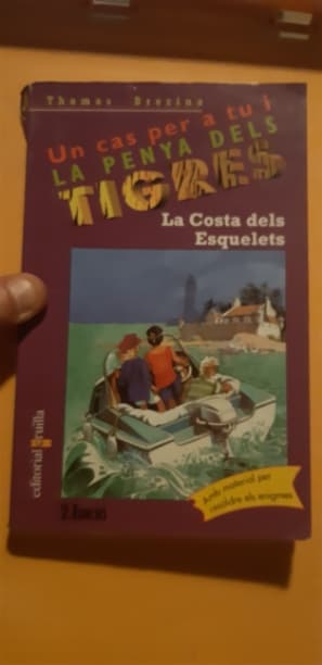 La costa dels esquelets