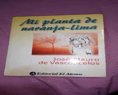 Mi planta de naranja lima