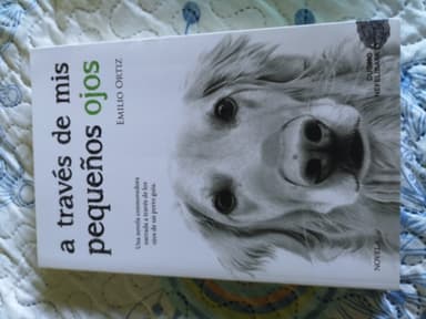 A través de mis pequeños ojos