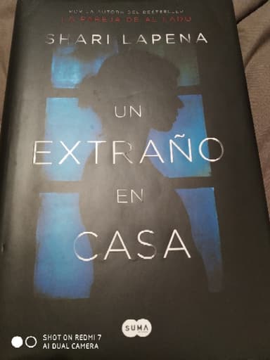 Un extraño en casa 