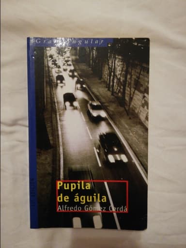 Pupila de águila