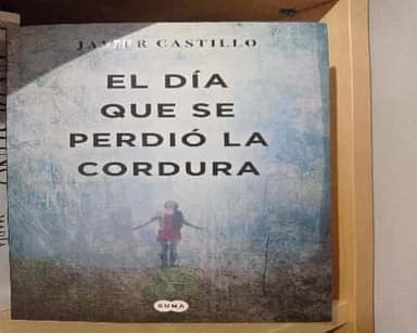 El día que se perdió la cordura 