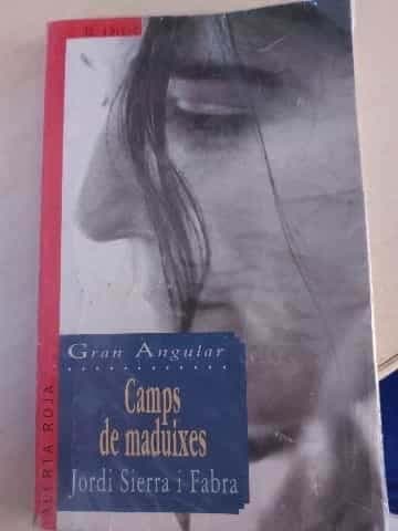 Camps de maduixes