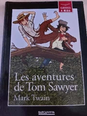 Les aventures de Tom Sawyer